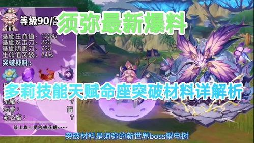 须弥技能最新爆料图鉴,图鉴揭秘神秘力量