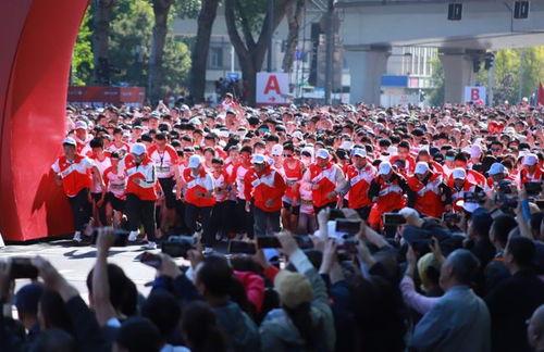 长春马拉松最新爆料,赛道升级，明星领跑，精彩不容错过！