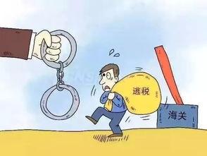 罚罪最新爆料案例,网络诈骗背后的黑色产业链