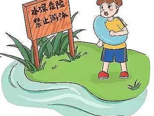 最新爆料石家庄事件真相,真相背后的惊心动魄