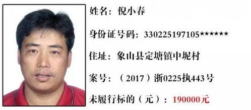 层岩舅最新爆料35,35岁人生新篇章，揭秘不为人知的背后故事