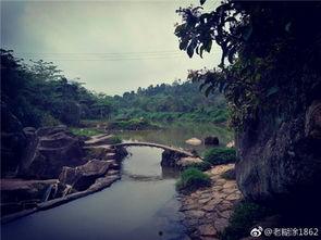 揭阳仙桥爆料最新消息,神秘事件引发热议，真相即将揭晓！